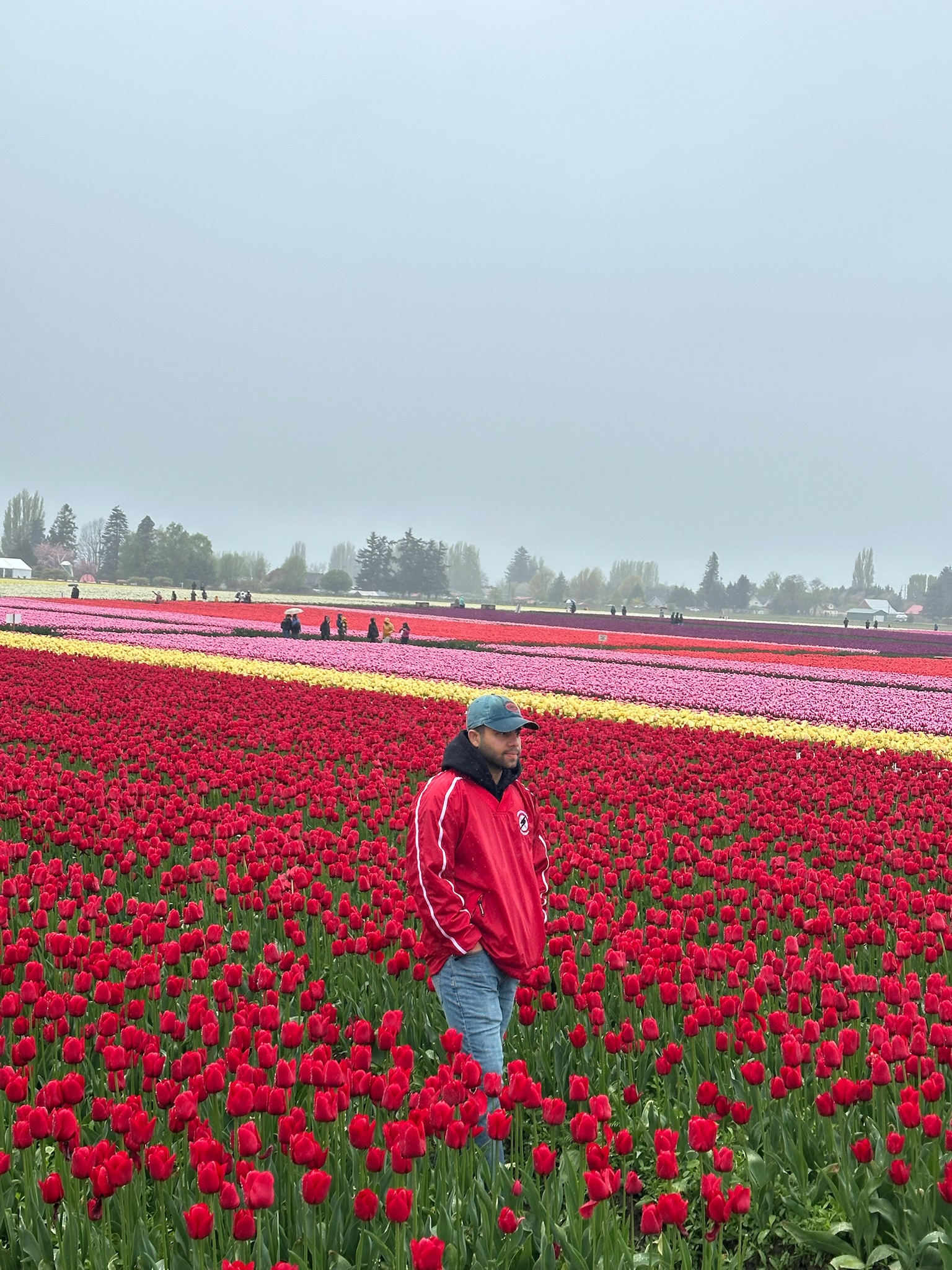 Abhi in tulip fields
